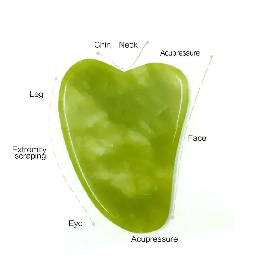 Natural green jade Gua Sha tool for face and body massage with labeled zones for acupressure and scraping.